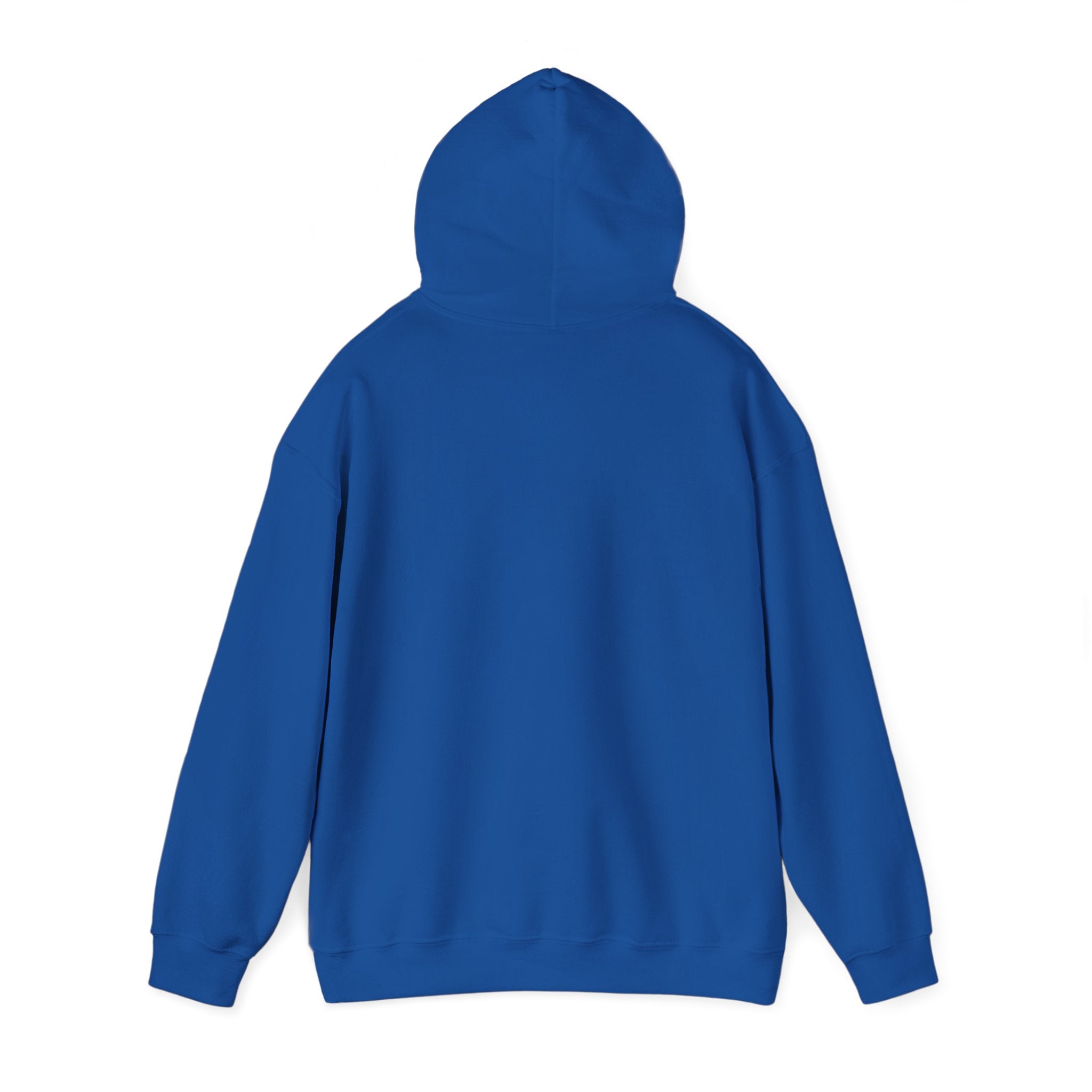 Personalized Family Team Hooded Sweatshirt, Custom Family Hoodie, Cousins Beach Sweatshirt, Team Spirit Apparel, Gift for Family Gatherings