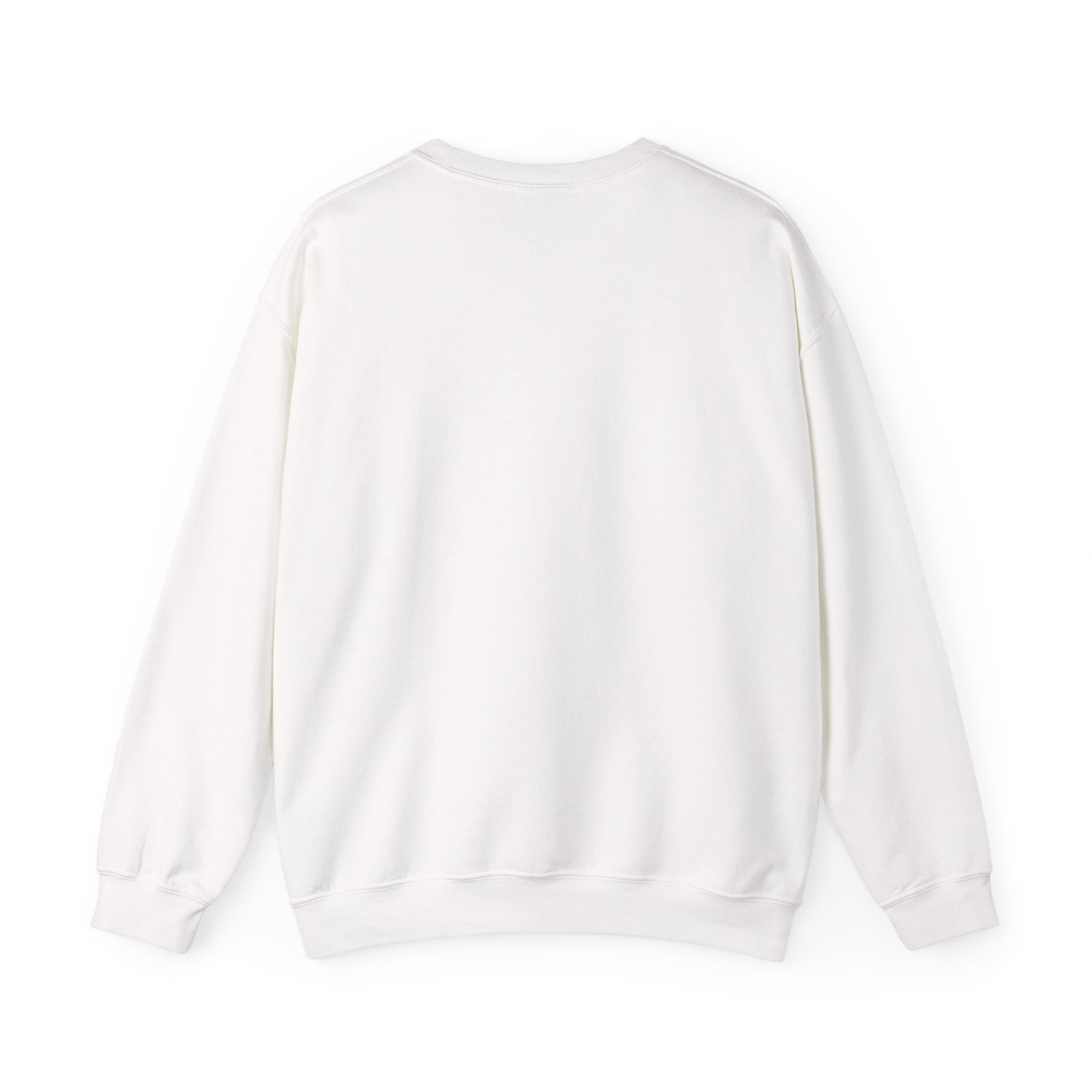 Crewneck Sweatshirt - Cousins Beach The Summer I Turned Pretty Cozy Jumper