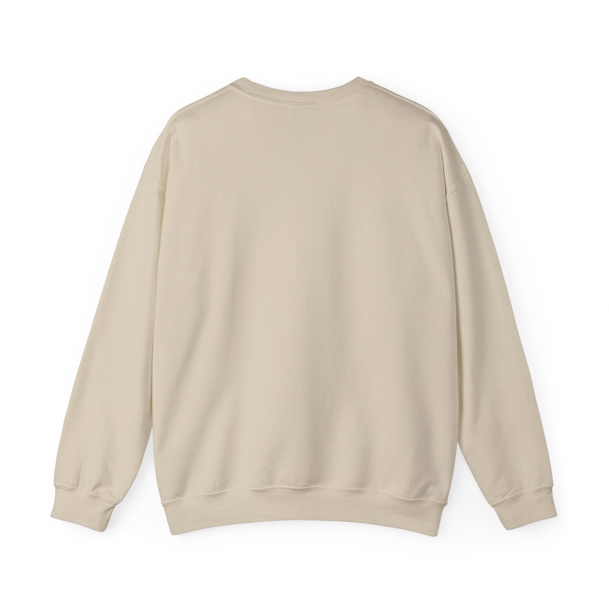Crewneck Sweatshirt - Cousins Beach The Summer I Turned Pretty Cozy Jumper