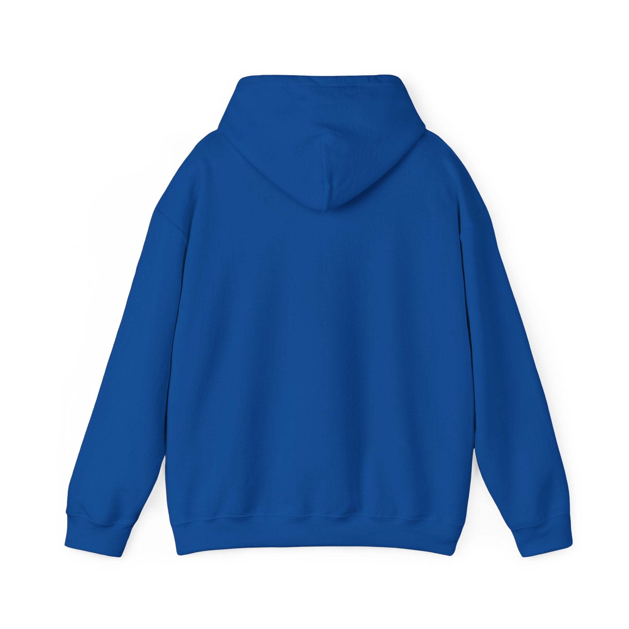 Personalized Family Team Hooded Sweatshirt, Custom Family Hoodie, Cousins Beach Sweatshirt, Team Spirit Apparel, Gift for Family Gatherings